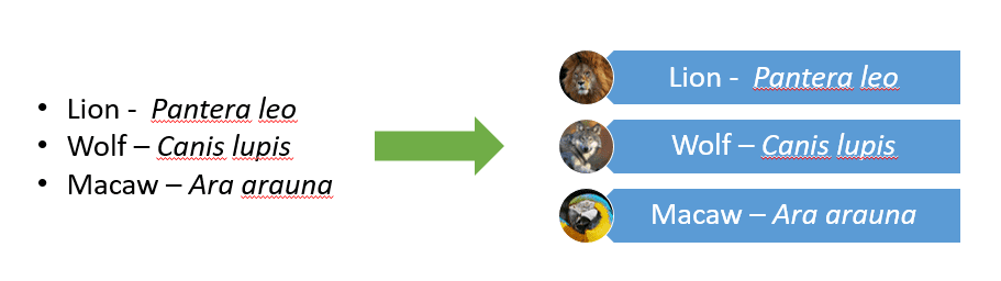 bullet points in powerpoint
